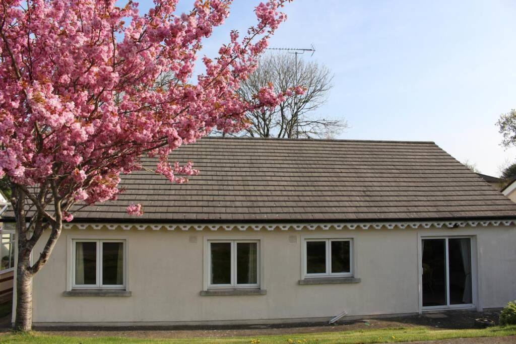 Sunny Bungalow Courtown Exterior foto